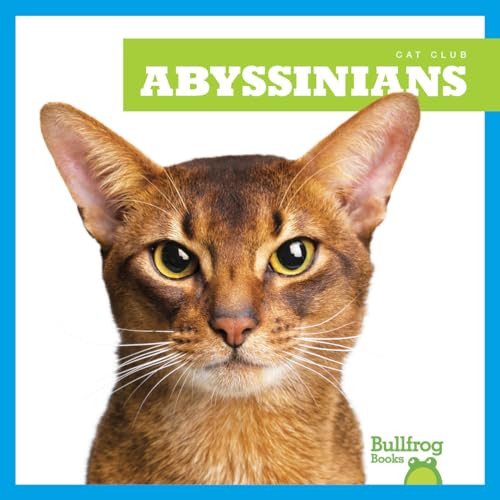 Abyssinians by Cameron L. Woodson, 9781645274438