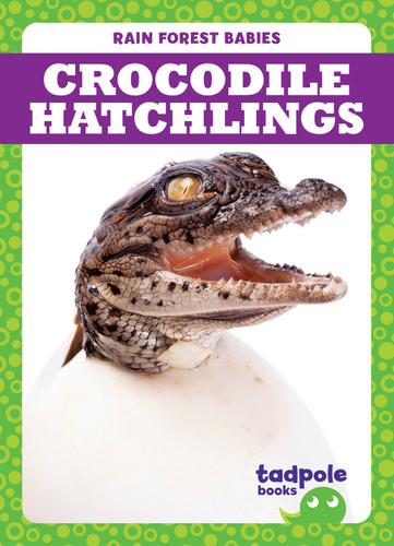 Crocodile Hatchlings by Genevieve Nilsen, 9781645274865