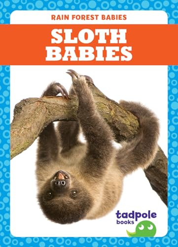 Sloth Babies - 9781645275015 by Genevieve Nilsen, Dana Fleming, 9781645275015