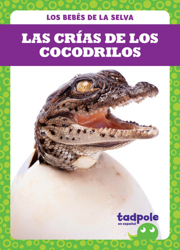 Las crías de los cocodrilos (Crocodile Hatchlings) (Spanish Edition) by Genevieve Nilsen, 9781645276432