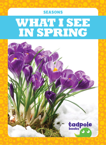 What I See in Spring by Danielle J. Jacks, 9781645275107