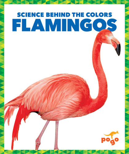 Flamingos - 9781645275817 by Alicia Z. Klepeis, 9781645275817