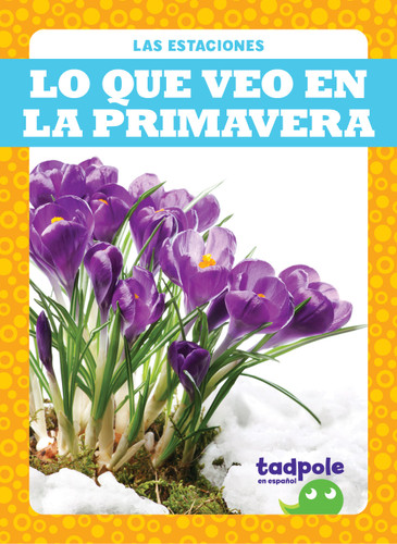 Lo que veo en la primavera (What I See in Spring) (Spanish Edition) - 9781645276418 by Danielle J. Jacks, 9781645276418