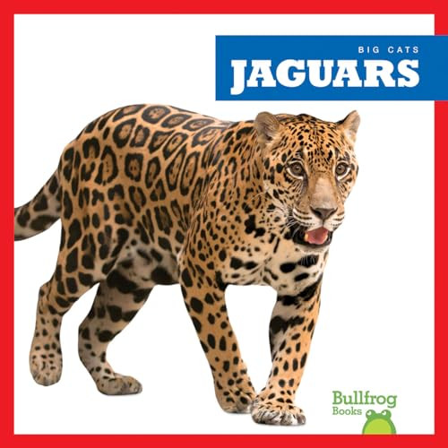 Jaguars - 9781645277217 by Marie Brandle, 9781645277217