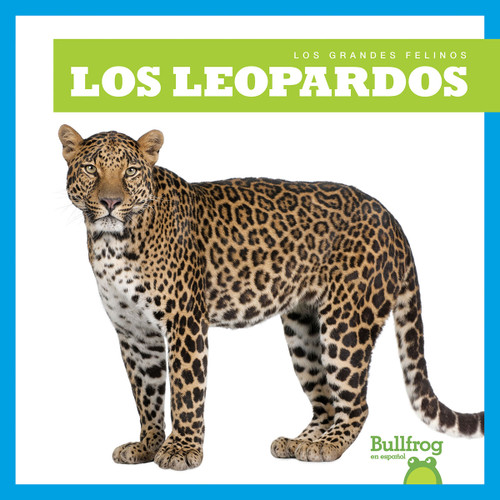 Los leopardos (Leopards) by Marie Brandle, 9781645278702