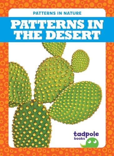 Patterns in the Desert - 9781645277569 by Genevieve Nilsen, Dana Flemming, 9781645277569