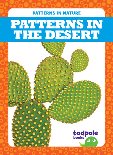 Patterns in the Desert - 9781645277576 by Genevieve Nilsen, 9781645277576