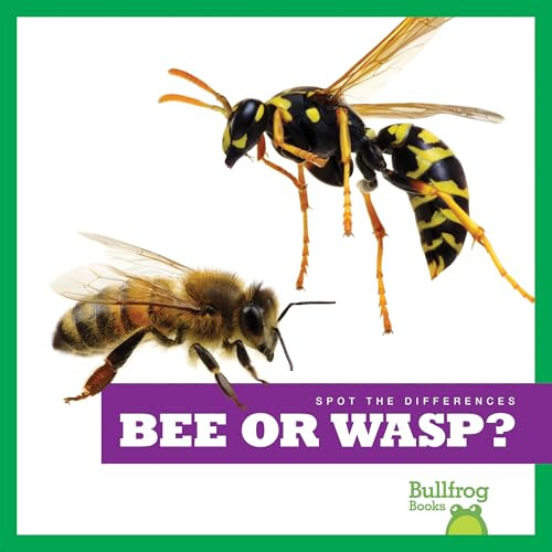 Bee or Wasp? - 9781636903378 by Adeline J. Zimmerman, 9781636903378