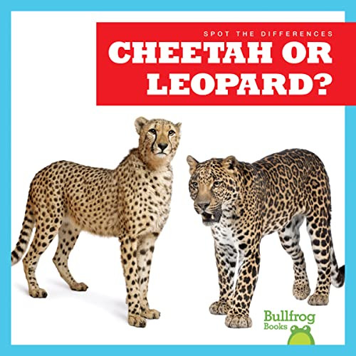 Cheetah or Leopard? - 9781636903446 by Jamie Rice, 9781636903446