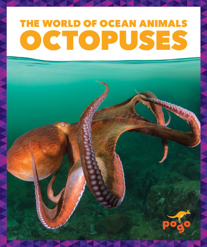 Octopuses - 9781636902869 by Bizzy Harris, N/A, 9781636902869