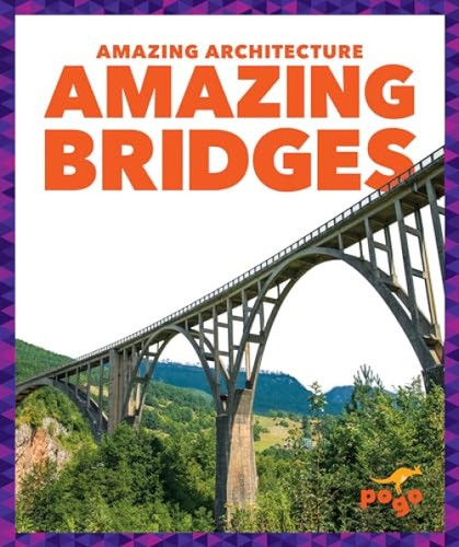 Amazing Bridges by Anita Nahta Amin, 9781636907321