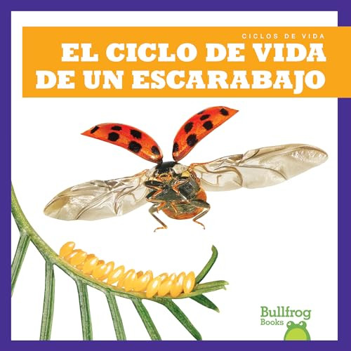 El ciclo de vida de un escarabajo (A Beetle's Life Cycle) (Spanish Edition) by Jamie Rice, 9798885240024