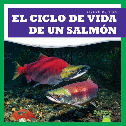 El ciclo de vida de un salmón (A Salmon's Life Cycle) (Spanish Edition) by Jamie Rice, 9798885240147