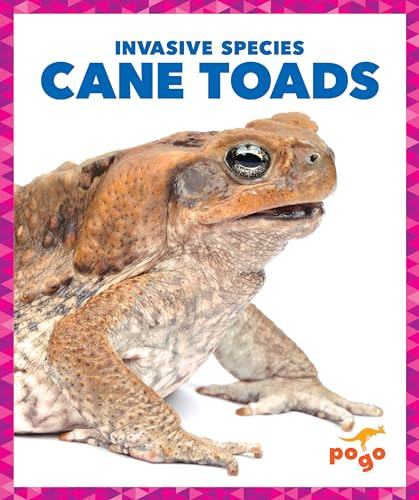 Cane Toads by Alicia Z. Klepeis, 9781636907895