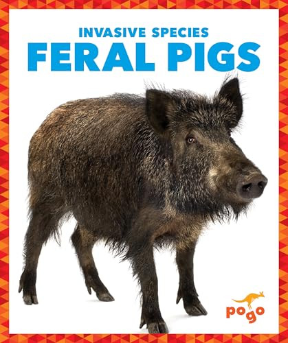 Feral Pigs by Alicia Z. Klepeis, 9781636907956