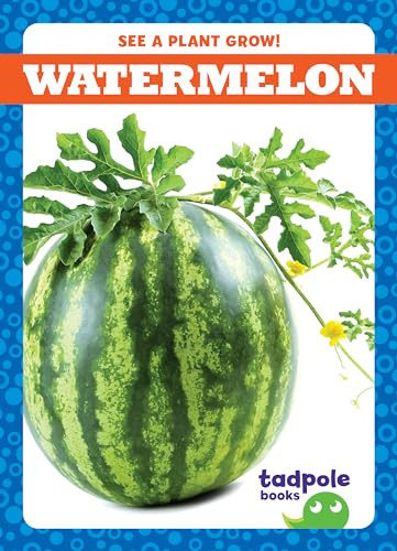 Watermelon - 9781636907116 by Charlie W. Sterling, 9781636907116