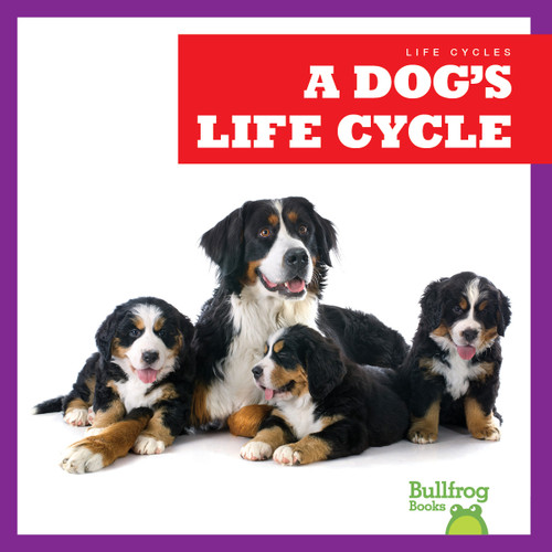 A Dog's Life Cycle - 9781636908298 by Jamie Rice, 9781636908298