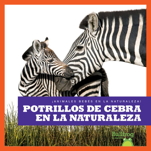 Potrillos de cebra en la naturaleza (Zebra Foals in the Wild) (Spanish Edition) by Marie Brandle, 9798885242394