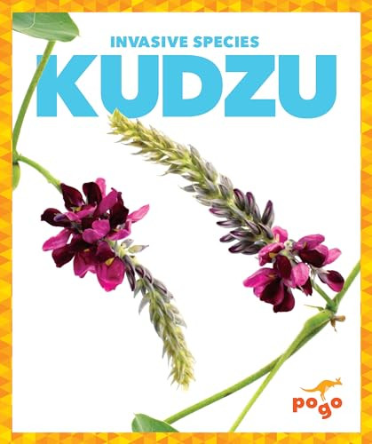 Kudzu by Alicia Z. Klepeis, 9798885241106