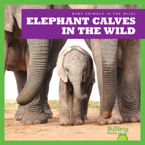 Elephant Calves in the Wild - 9798885240635 by Marie Brandle, 9798885240635