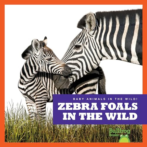 Zebra Foals in the Wild - 9798885240840 by Marie Brandle, 9798885240840
