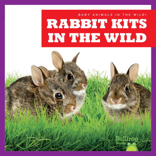 Rabbit Kits in the Wild by Katie Chanez, N/A, 9798885244091