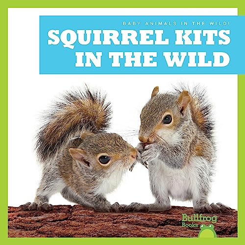 Squirrel Kits in the Wild by Katie Chanez, 9798885244183