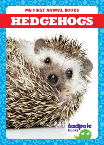 Hedgehogs - 9798885246613 by Marie Brandle, N/A, 9798885246613