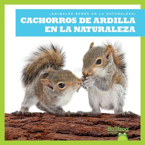 Cachorros de ardilla en la naturaleza (Squirrel Kits in the Wild) (Spanish Edition) - 9798885248396 by Katie Chanez, 9798885248396