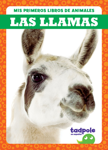 Las llamas (Llamas) (Spanish Edition) - 9798885248600 by Marie Brandle, N/A, 9798885248600