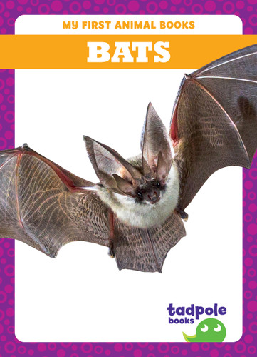Bats - 9798885246521 by Natalie Deniston, 9798885246521