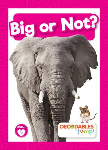 Big or Not? by William Anthony, 9798889967620