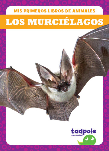 Los murciélagos (Bats) (Spanish Edition) by Natalie Deniston, 9798889967293