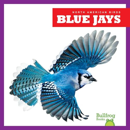 Blue Jays - 9798892131049 by Rachel Grack, 9798892131049