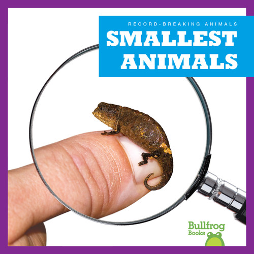Smallest Animals by Lily Austen, 9798892131346