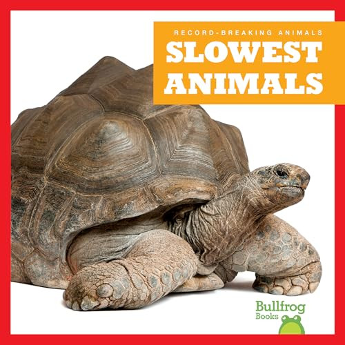 Slowest Animals - 9798892131322 by Lily Austen, 9798892131322