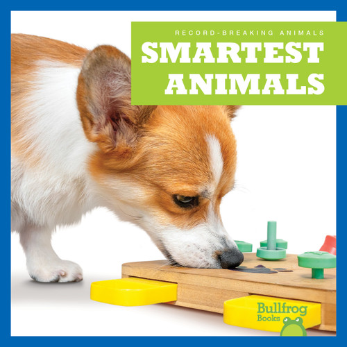 Smartest Animals - 9798892131384 by Lily Austen, 9798892131384