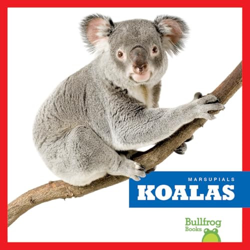 Koalas - 9798892135191 by Natalie Deniston, 9798892135191