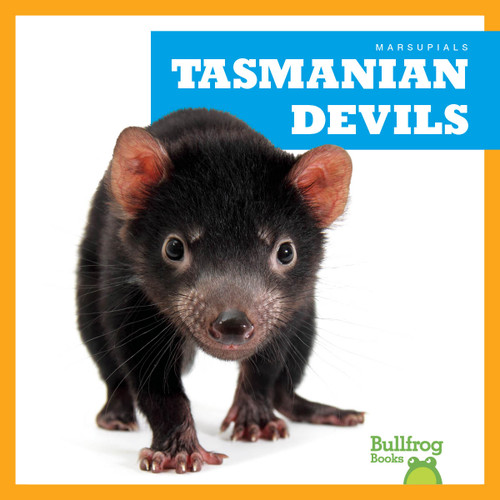 Tasmanian Devils - 9798892135283 by Natalie Deniston, 9798892135283