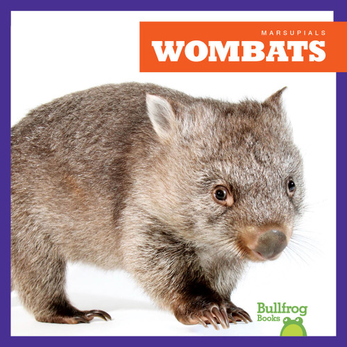 Wombats - 9798892135320 by Natalie Deniston, 9798892135320