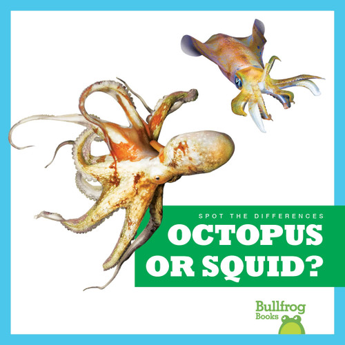 Octopus or Squid? - 9798892136853 by Natalie Deniston, 9798892136853