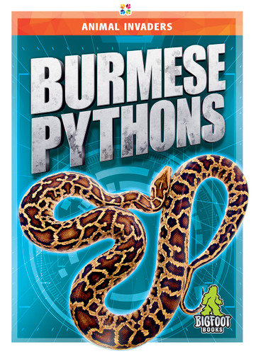 Burmese Pythons - 9781645195146 by Jody Jensen Shaffer, 9781645195146