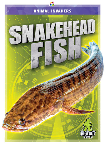 Snakehead Fish by Jody Jensen Shaffer, 9781645195177
