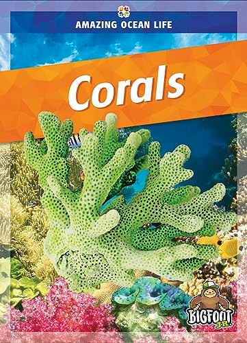 Corals - 9781645195573 by Colleen Sexton, 9781645195573