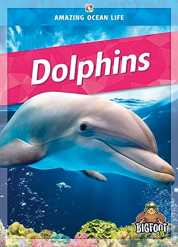 Dolphins - 9781645195597 by Colleen Sexton, 9781645195597