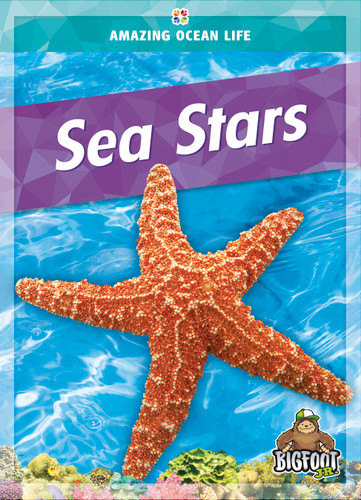 Sea Stars - 9781645195641 by Colleen Sexton, 9781645195641