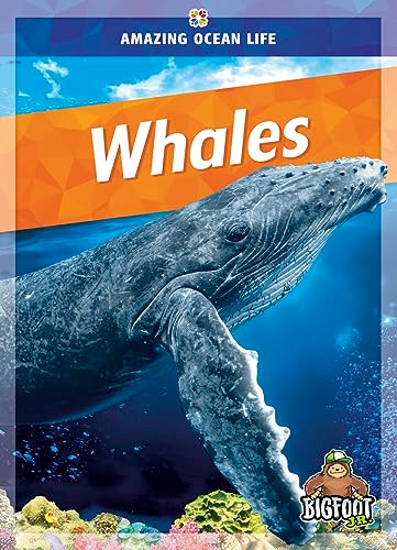 Whales - 9781645195689 by Colleen Sexton, 9781645195689