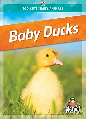 Baby Ducks - 9781645197027 by Colleen Sexton, 9781645197027