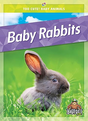 Baby Rabbits - 9781645197089 by Colleen Sexton, 9781645197089