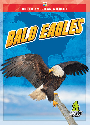 Bald Eagles - 9781645197225 by Joanne Mattern, 9781645197225